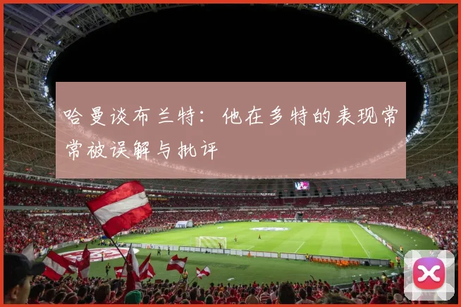 哈曼谈布兰特：他在多特的表现常常被误解与批评